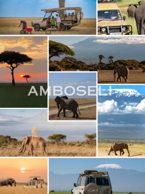 Amboseli safari Kilimanjaro view