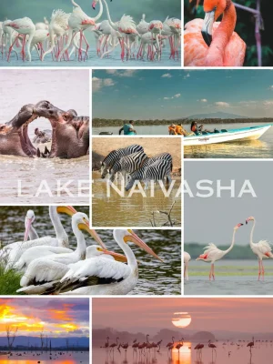 Lake Naivasha