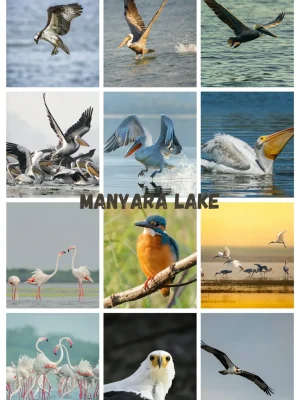 Manyara Lake