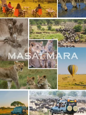Masai Mara safari