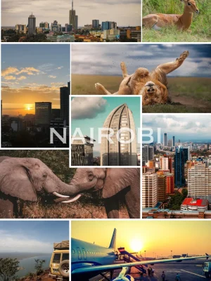 Nairobi city and wildlife tour