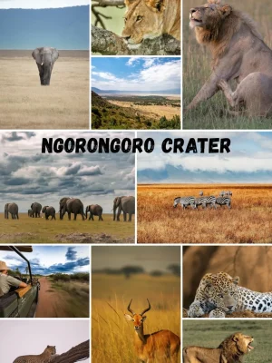 Ngorongoro Crater