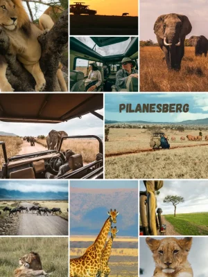 Pilanesberg