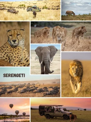 Serengeti